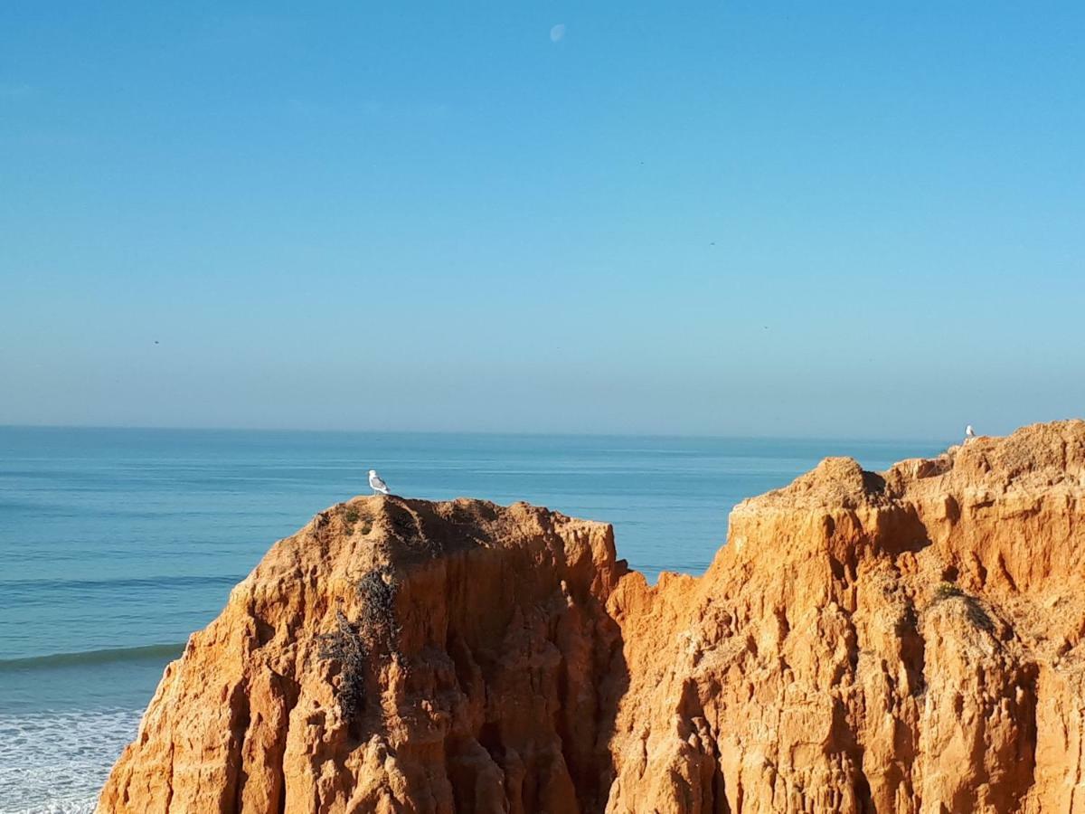 Apartamento Albufeira 6 B Екстериор снимка